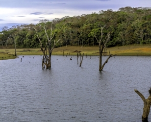 Thekkady